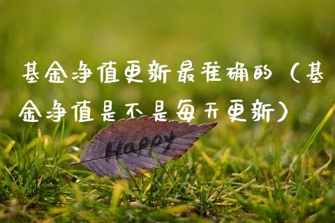 基金净值更新最准确的（基金净值是不是每天更新）_https://www.kuaijiepai.net_期货理财_第1张