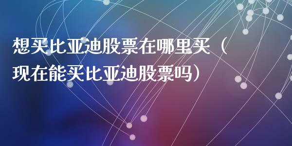 想买比亚迪股票在哪里买（现在能买比亚迪股票吗）_https://www.kuaijiepai.net_国际股建_第1张
