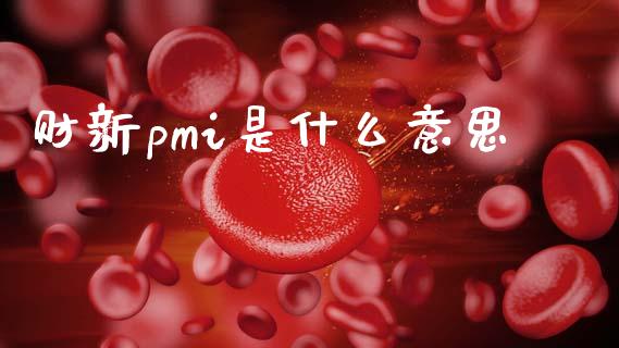 财新pmi是什么意思_https://www.kuaijiepai.net_国际股建_第1张