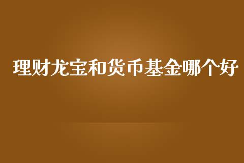 理财龙宝和货币基金哪个好_https://www.kuaijiepai.net_期货理财_第1张