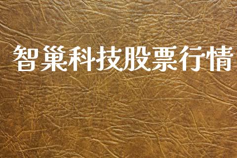 智巢科技股票行情_https://www.kuaijiepai.net_新股新闻_第1张