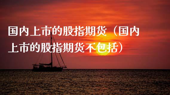 国内上市的股指期货（国内上市的股指期货不包括）_https://www.kuaijiepai.net_期货资讯_第1张