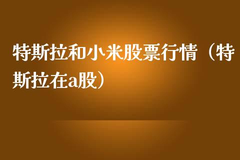 特斯拉和小米股票行情（特斯拉在a股）_https://www.kuaijiepai.net_国际股建_第1张