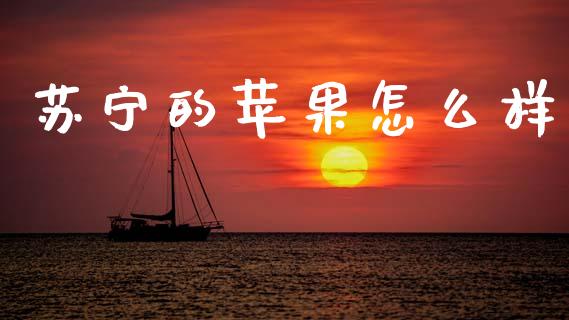 苏宁的苹果怎么样_https://www.kuaijiepai.net_股票理论_第1张