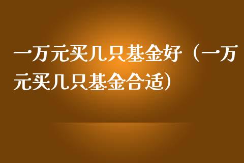 一万元买几只基金好（一万元买几只基金合适）_https://www.kuaijiepai.net_期货理财_第1张