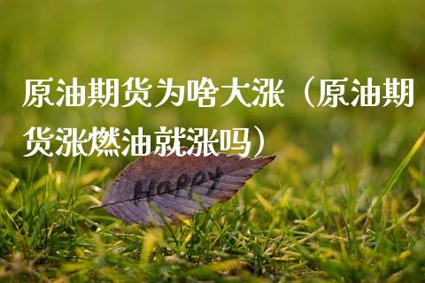 原油期货为啥大涨（原油期货涨燃油就涨吗）_https://www.kuaijiepai.net_国际期货_第1张