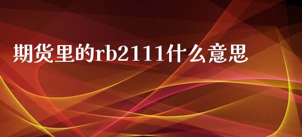 期货里的rb2111什么意思_https://www.kuaijiepai.net_股票理论_第1张