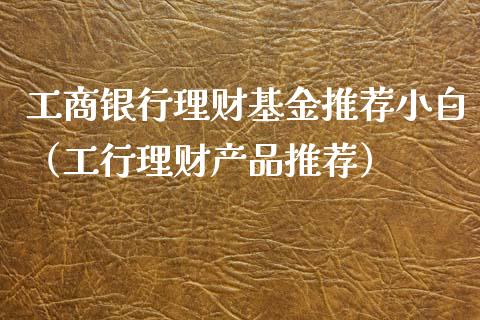 工商银行理财基金推荐小白（工行理财产品推荐）_https://www.kuaijiepai.net_投资理财_第1张