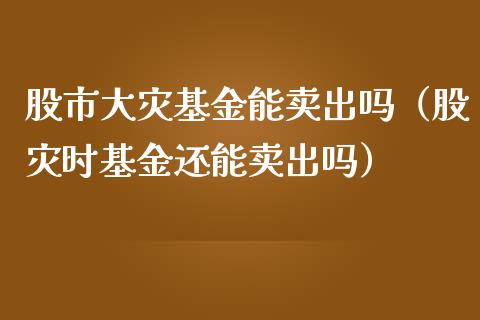 股市大灾基金能卖出吗（股灾时基金还能卖出吗）_https://www.kuaijiepai.net_期货理财_第1张