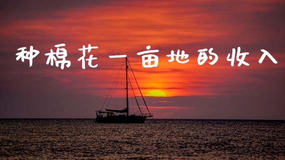 种棉花一亩地的收入_https://www.kuaijiepai.net_国际期货_第1张