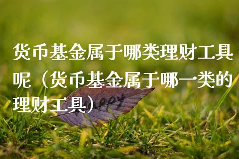 货币基金属于哪类理财工具呢（货币基金属于哪一类的理财工具）_https://www.kuaijiepai.net_投资理财_第1张