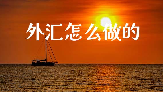 外汇怎么做的_https://www.kuaijiepai.net_国际股建_第1张