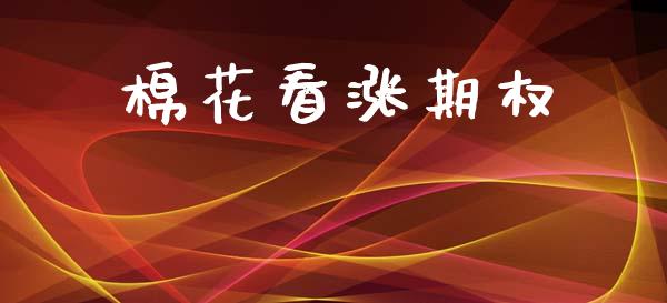 棉花看涨期权_https://www.kuaijiepai.net_期货资讯_第1张