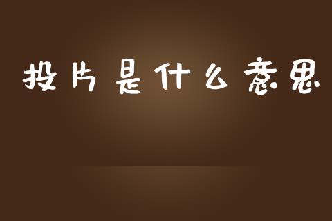 投片是什么意思_https://www.kuaijiepai.net_期货在线_第1张