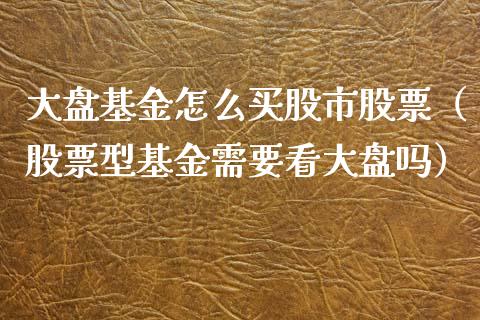 大盘基金怎么买股市股票（股票型基金需要看大盘吗）_https://www.kuaijiepai.net_期货理财_第1张