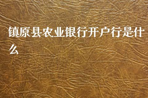 镇原县农业银行开户行是什么_https://www.kuaijiepai.net_期货在线_第1张