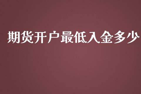 期货开户最低入金多少_https://www.kuaijiepai.net_国际期货_第1张