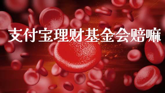 支付宝理财基金会赔嘛_https://www.kuaijiepai.net_投资理财_第1张