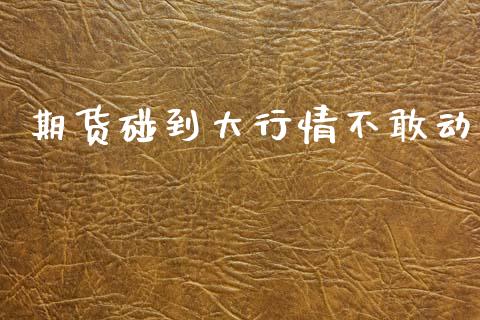 期货碰到大行情不敢动_https://www.kuaijiepai.net_期货资讯_第1张