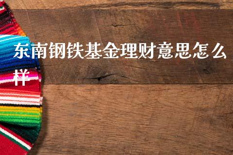 东南钢铁基金理财意思怎么样_https://www.kuaijiepai.net_投资理财_第1张