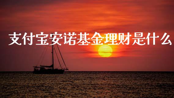 支付宝安诺基金理财是什么_https://www.kuaijiepai.net_投资理财_第1张