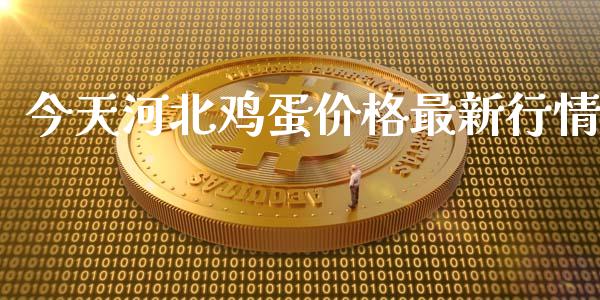 今天河北鸡蛋价格最新行情_https://www.kuaijiepai.net_期货资讯_第1张