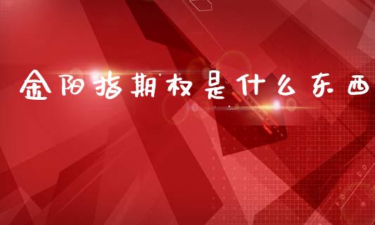 金阳指期权是什么东西_https://www.kuaijiepai.net_投资理财_第1张