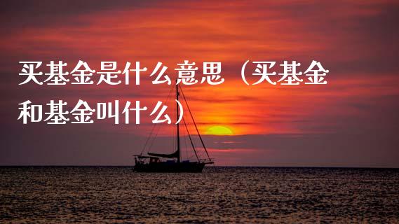 买基金是什么意思（买基金和基金叫什么）_https://www.kuaijiepai.net_投资理财_第1张