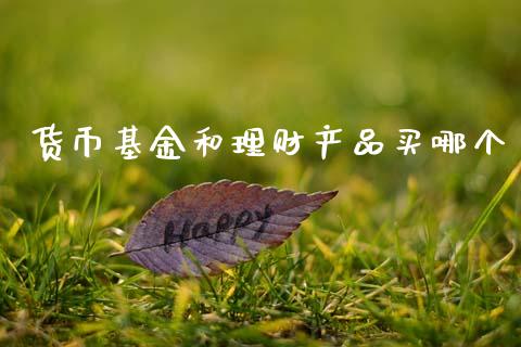 货币基金和理财产品买哪个_https://www.kuaijiepai.net_投资理财_第1张