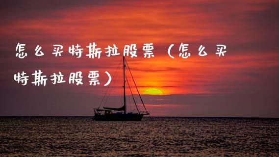 怎么买特斯拉股票（怎么买特斯拉股票）_https://www.kuaijiepai.net_国际股建_第1张