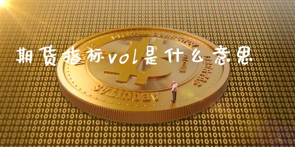 期货指标vol是什么意思_https://www.kuaijiepai.net_国际期货_第1张