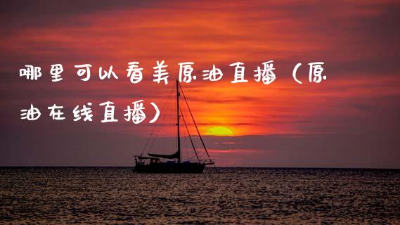 哪里可以看美原油直播（原油在线直播）_https://www.kuaijiepai.net_期货在线_第1张