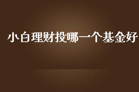 小白理财投哪一个基金好_https://www.kuaijiepai.net_期货理财_第1张