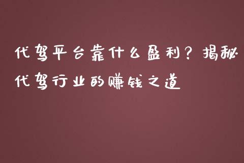 代驾平台靠什么盈利？揭秘代驾行业的赚钱之道_https://www.kuaijiepai.net_国际股建_第1张