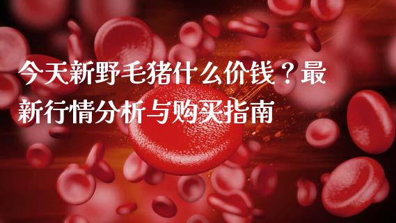 今天新野毛猪什么价钱？最新行情分析与购买指南_https://www.kuaijiepai.net_期货资讯_第1张