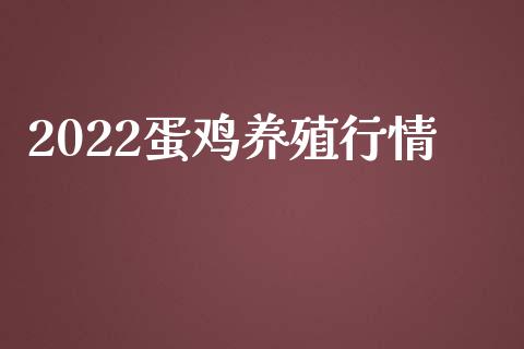 2022蛋鸡养殖行情_https://www.kuaijiepai.net_期货资讯_第1张