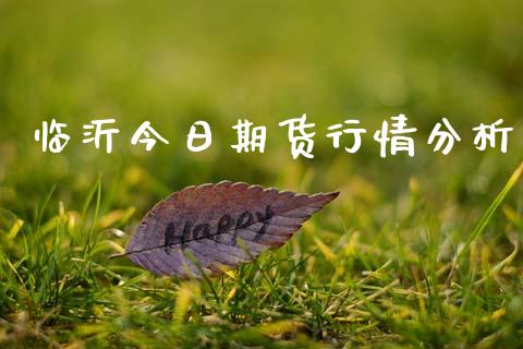 临沂今日期货行情分析_https://www.kuaijiepai.net_期货在线_第1张