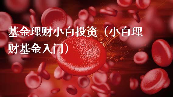 基金理财小白投资（小白理财基金入门）_https://www.kuaijiepai.net_期货理财_第1张