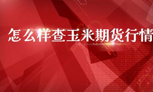 怎么样查玉米期货行情_https://www.kuaijiepai.net_国际期货_第1张
