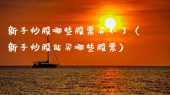 新手炒股哪些股票买不了（新手炒股能买哪些股票）_https://www.kuaijiepai.net_股票理论_第1张