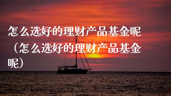 怎么选好的理财产品基金呢（怎么选好的理财产品基金呢）_https://www.kuaijiepai.net_期货理财_第1张