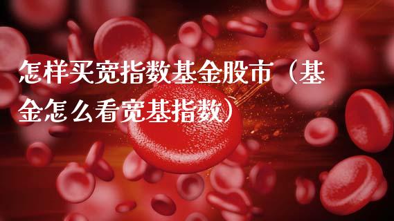怎样买宽指数基金股市（基金怎么看宽基指数）_https://www.kuaijiepai.net_投资理财_第1张
