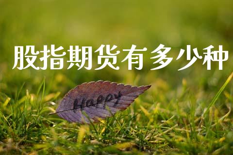 股指期货有多少种_https://www.kuaijiepai.net_期货资讯_第1张