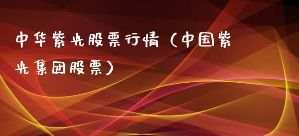 中华紫光股票行情（中国紫光集团股票）_https://www.kuaijiepai.net_股票理论_第1张