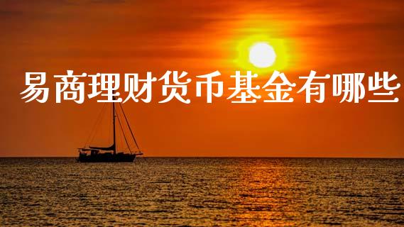 易商理财货币基金有哪些_https://www.kuaijiepai.net_期货理财_第1张