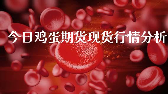 今日鸡蛋期货现货行情分析_https://www.kuaijiepai.net_期货资讯_第1张