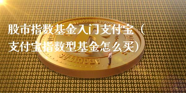 股市指数基金入门支付宝（支付宝指数型基金怎么买）_https://www.kuaijiepai.net_期货理财_第1张