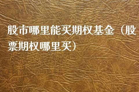 股市哪里能买期权基金（股票期权哪里买）_https://www.kuaijiepai.net_投资理财_第1张