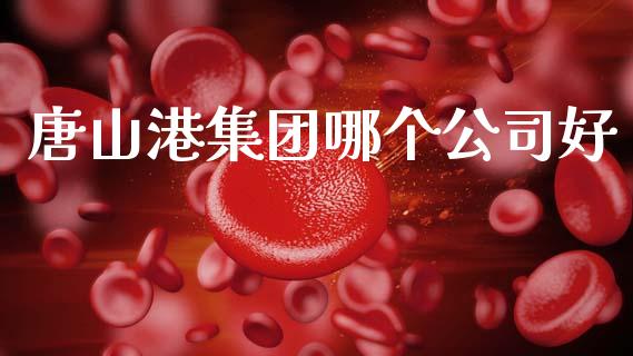 唐山港集团哪个公司好_https://www.kuaijiepai.net_期货资讯_第1张