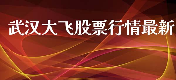 武汉大飞股票行情最新_https://www.kuaijiepai.net_新股新闻_第1张